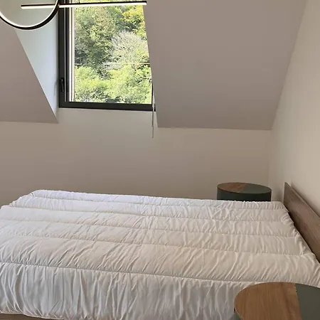 Apartmán Duplex Pour 8 Pers, 3 Parkings, Proche Centre - Fr-1-234-323 Cauterets